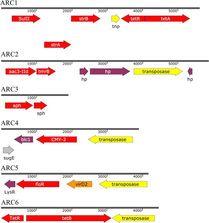 FIGURE 1