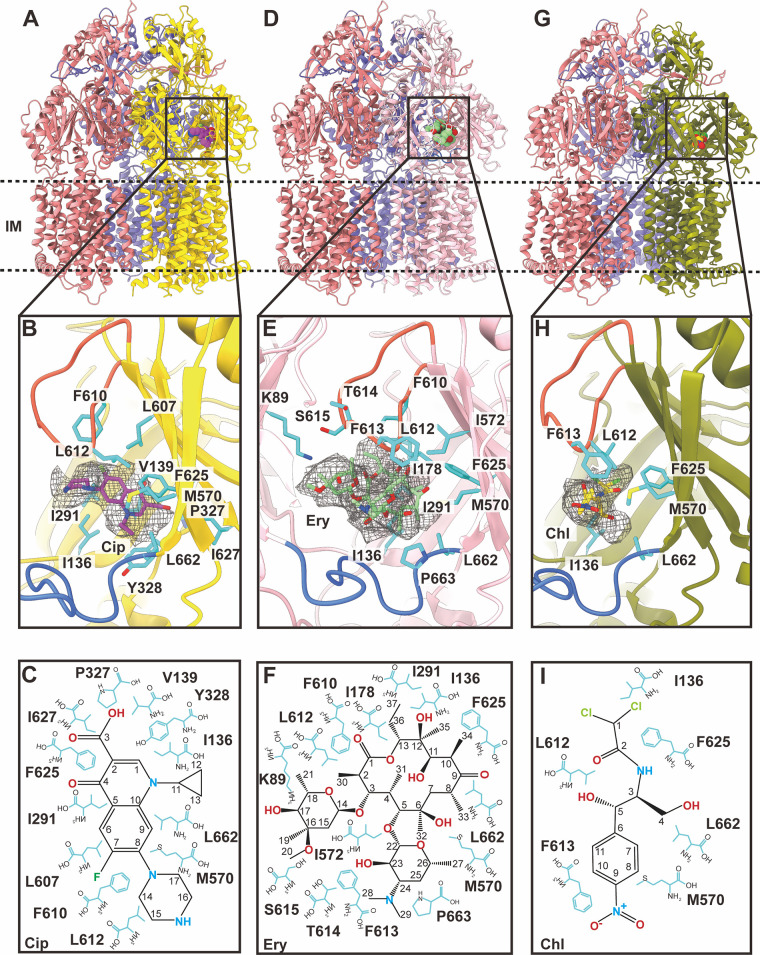 FIG 3