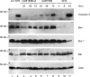 FIG. 7.