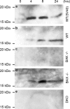 FIG. 6.