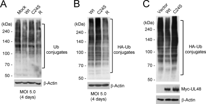 FIG. 9.