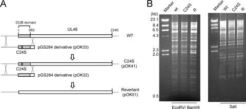 FIG. 5.