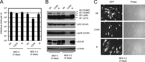 FIG. 8.