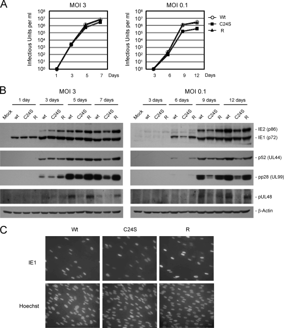 FIG. 7.