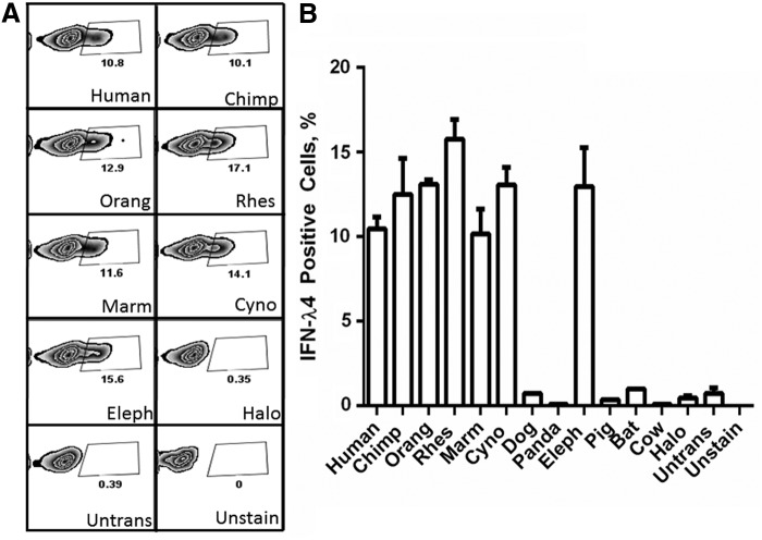 FIG. 4.