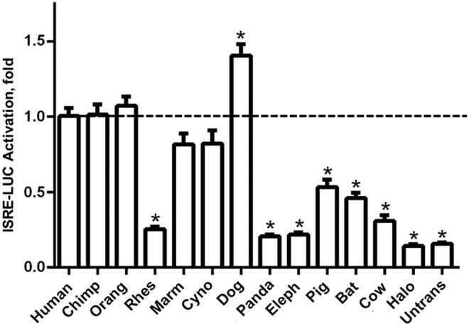 FIG. 2.