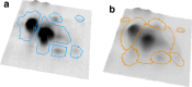 Fig. 9