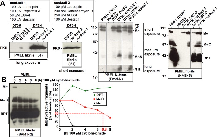 FIGURE 7: