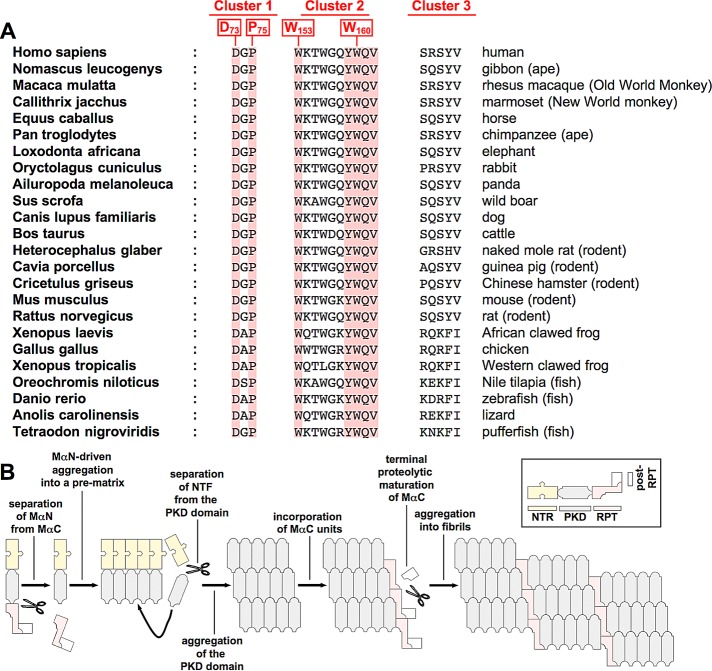 FIGURE 9: