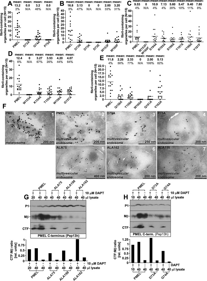 FIGURE 6: