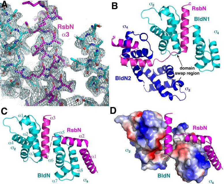 Figure 2.