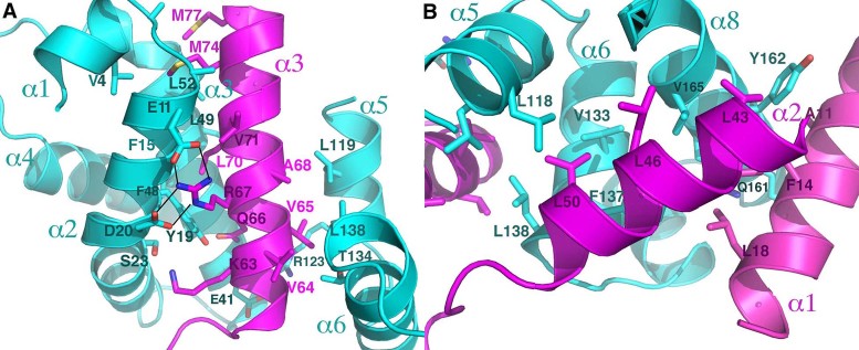 Figure 3.