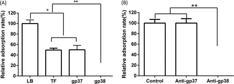 FIG 5