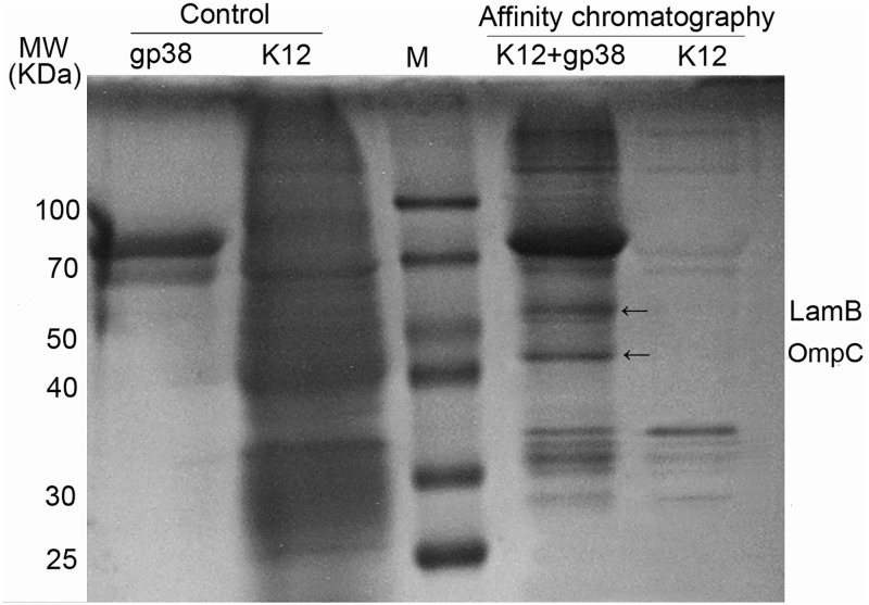 FIG 6