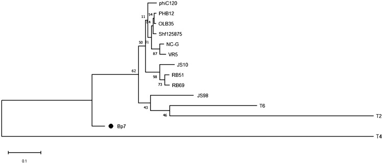 FIG 3