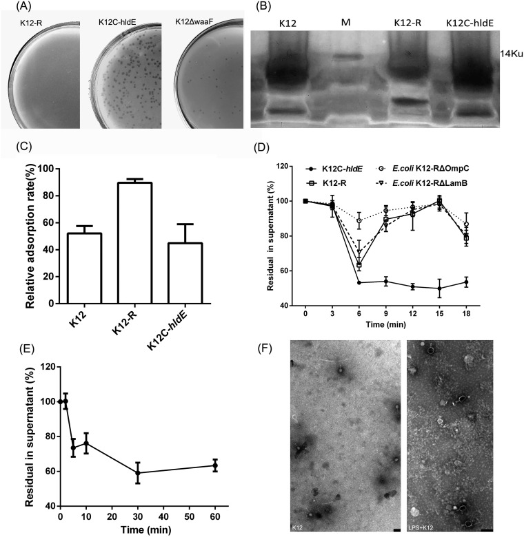 FIG 8