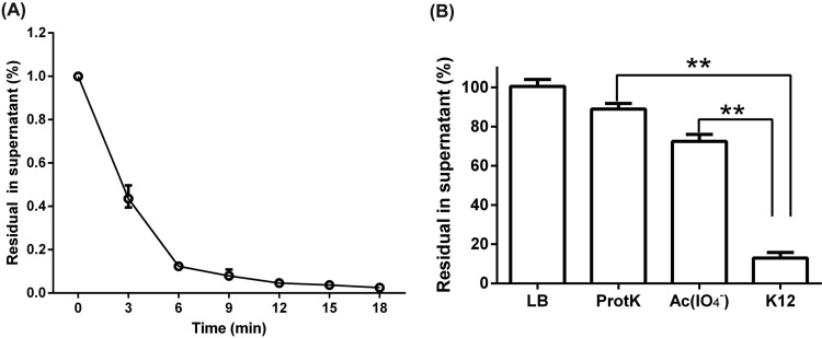 FIG 1