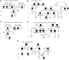 Figure 2. Cosegregation study in families with NBN PGVs identified in >34,000 patients (MSKCC) as well as families identified through the PROMPT. Carrier status is indicated in blue: noncarriers (−/−), heterozygous (±), and homozygous (+/+). Filled black symbol: affected with cancer. Black arrow: index case. Ages at diagnosis are provided after cancer type. Ages at information gathering or at death are provided in the top right corner.