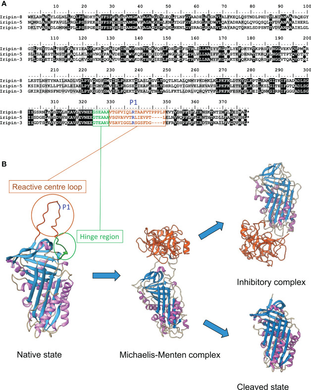 Figure 1