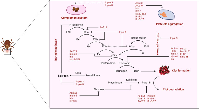 Figure 3