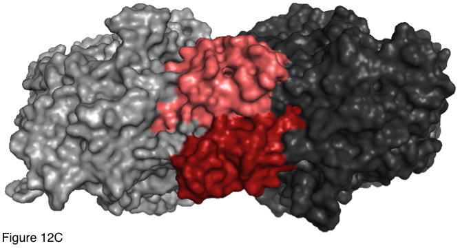 Figure 12