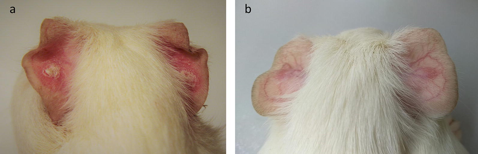 Fig. 2