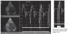 Figure 2)