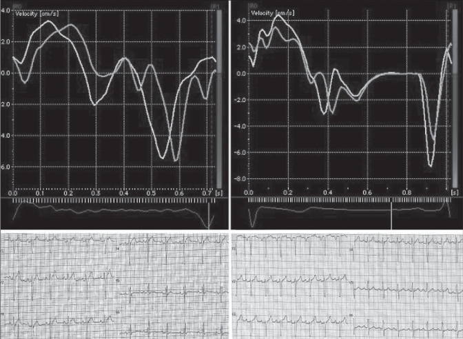 Figure 3)