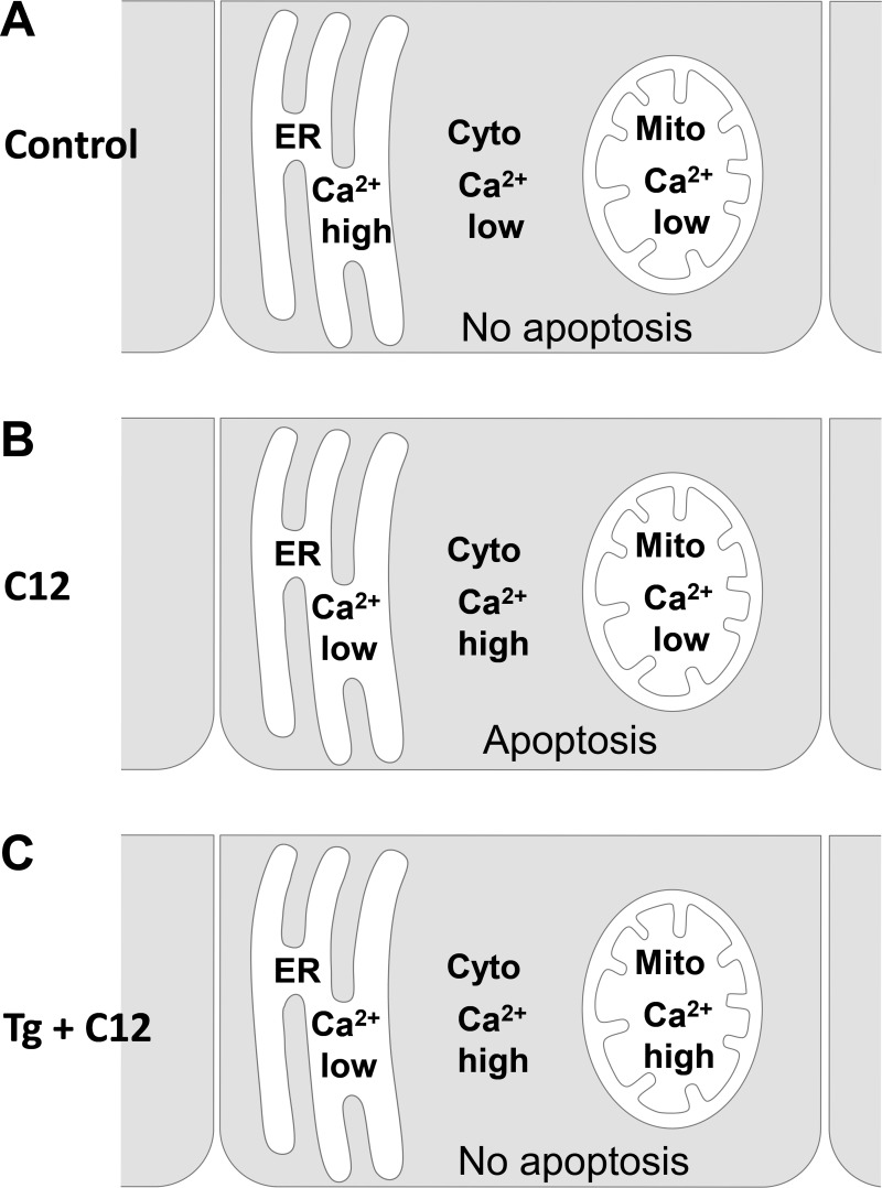 Fig. 9.