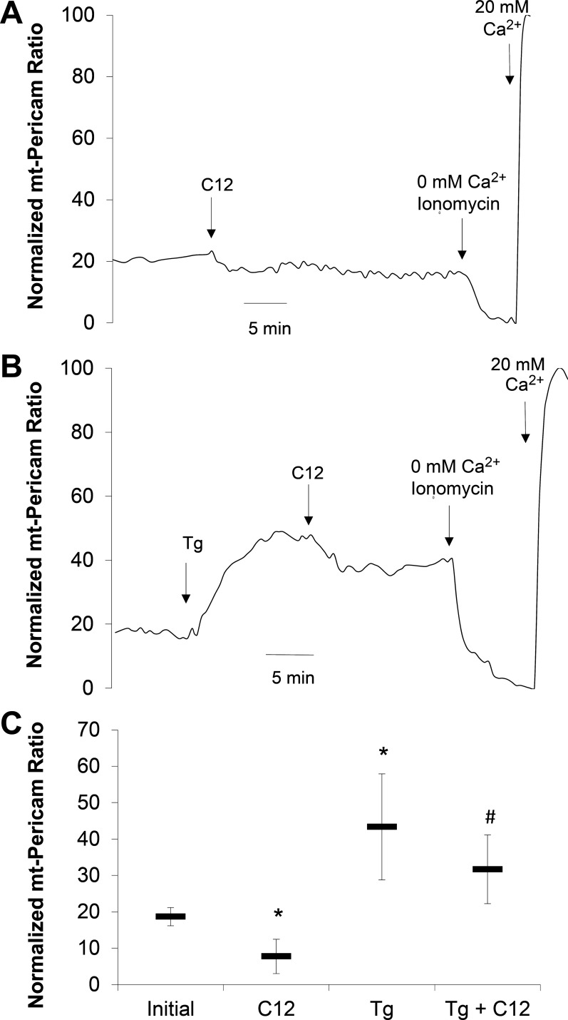 Fig. 8.