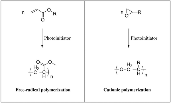 Fig. 12.