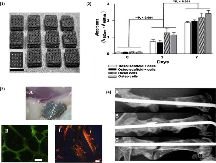 Fig. 36.