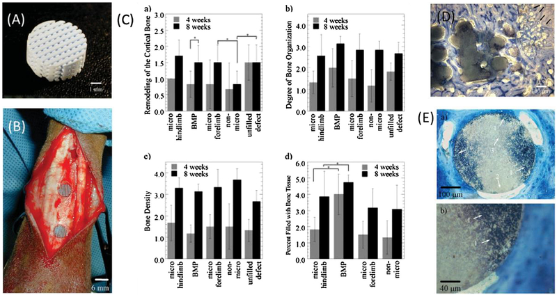 Fig. 15.