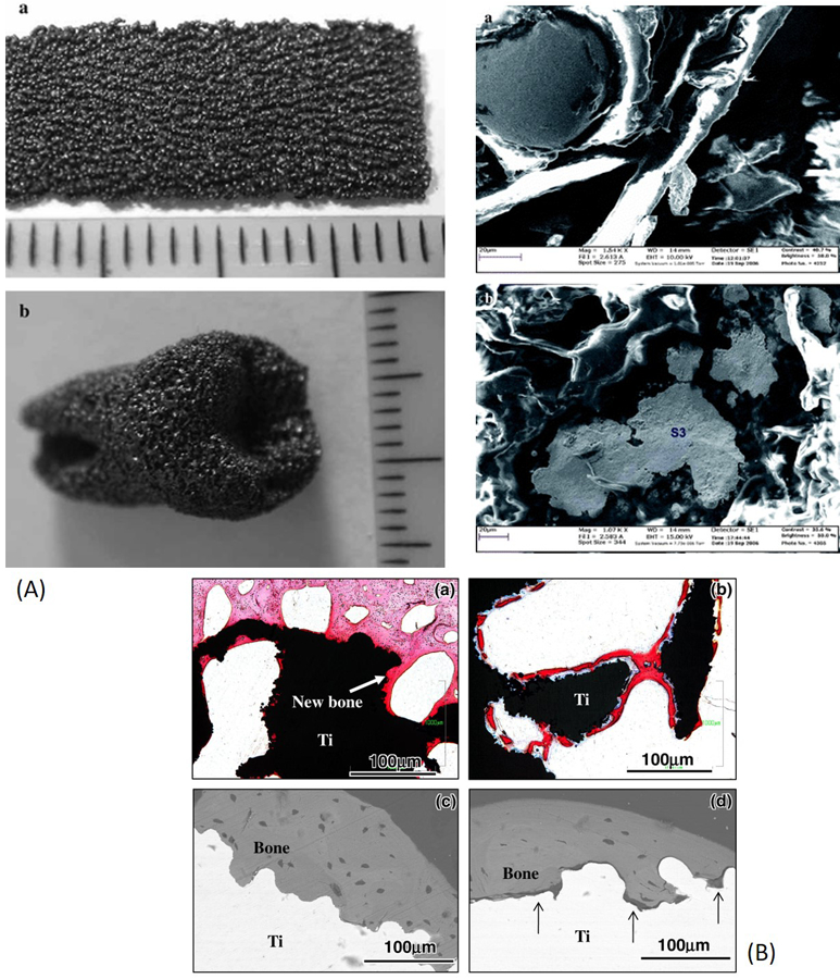 Fig. 25.