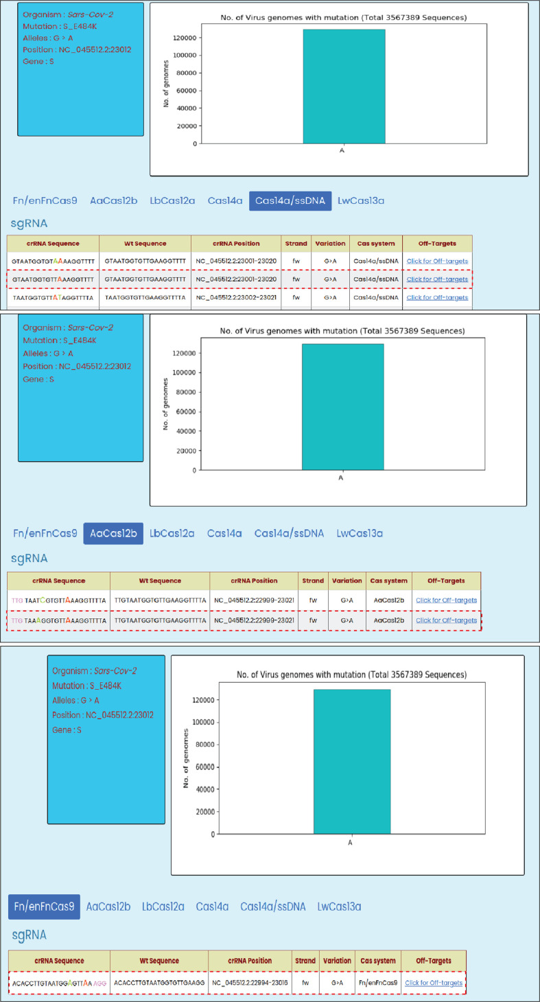 Figure 5—figure supplement 1.