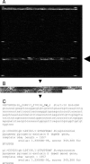 FIG. 1.