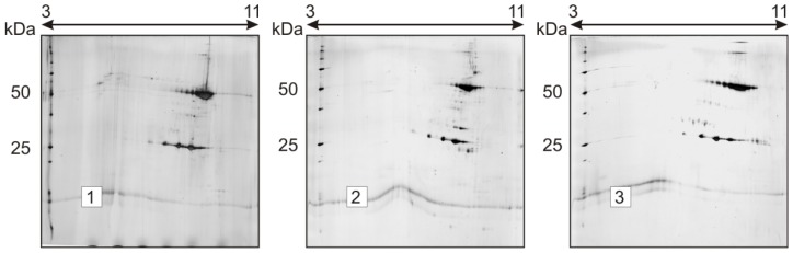 Figure 3.