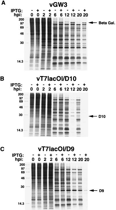 FIG. 6