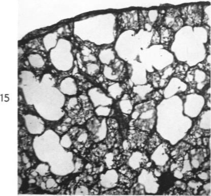 Fig. 15