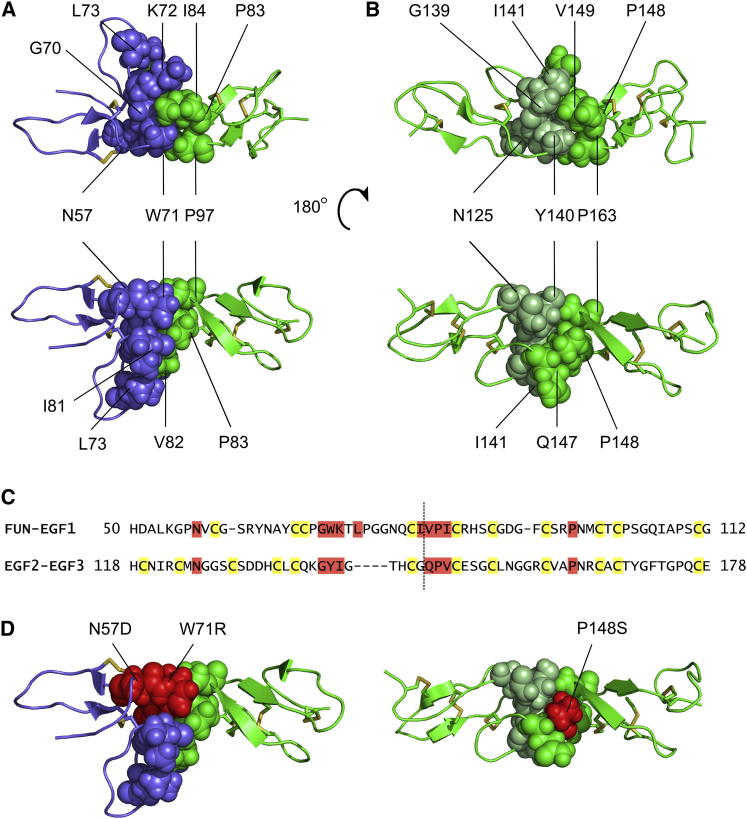 Figure 5