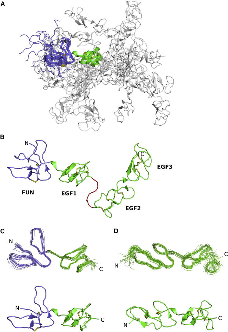 Figure 2