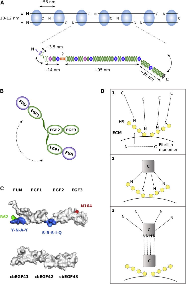 Figure 9