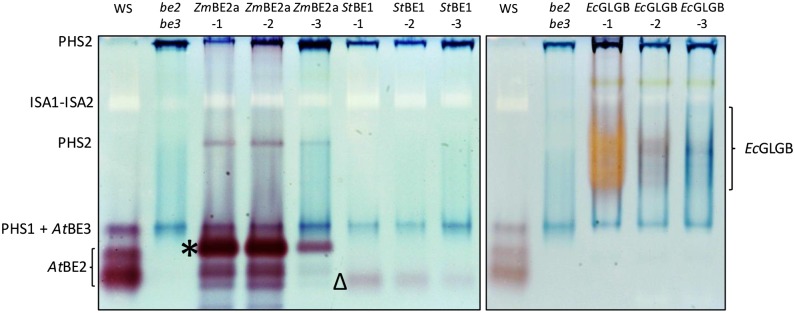 Figure 3.