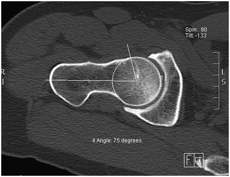 Fig. 2.