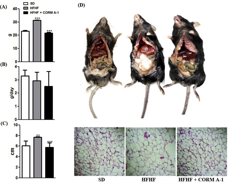 Supplementary Fig. 1