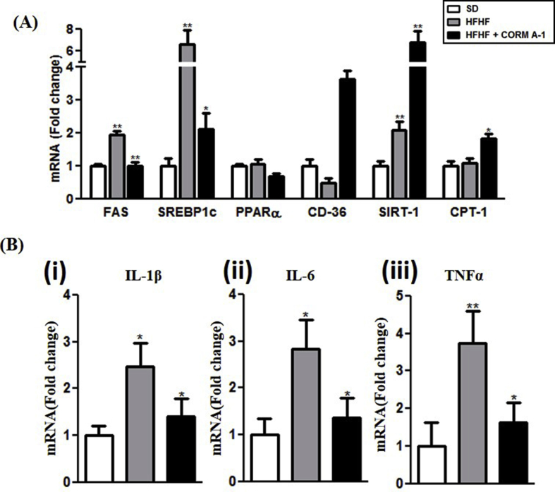 Supplementary Fig. 3