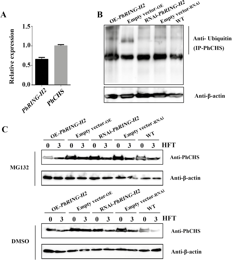 Fig. 8.