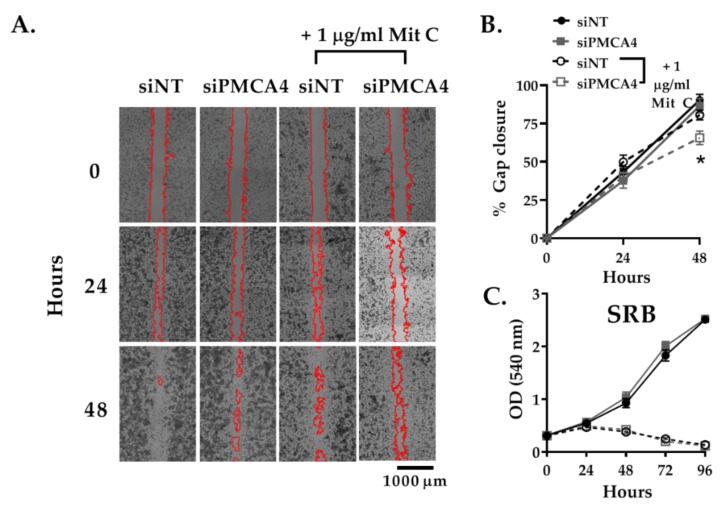 Figure 5