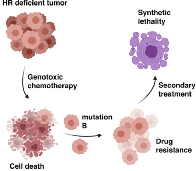 Image, graphical abstract