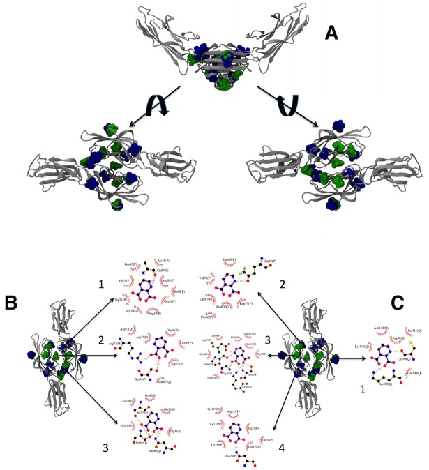 Fig 8